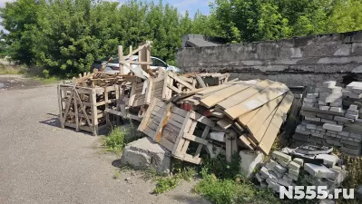 Отдам дерево фото