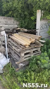 Отдам дерево фото 2